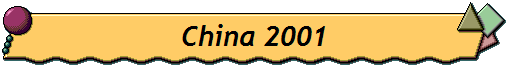 China 2001